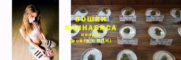 бутират Белокуриха