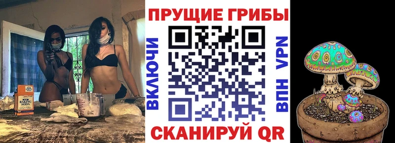Псилоцибиновые грибы мухоморы  Соль-Илецк 