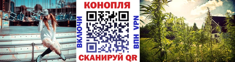 хочу наркоту  Соль-Илецк  Бошки марихуана Ganja 
